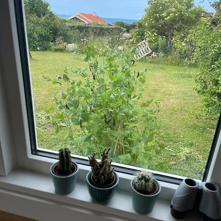 Norsk Bjaelkehytte Med Fibernet * Slagelse