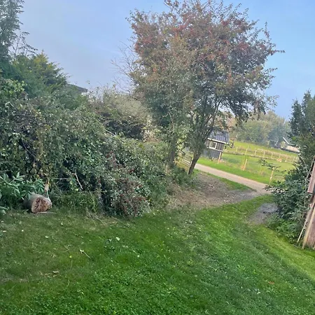 Feriehus Norsk Bjaelkehytte Med Fibernet